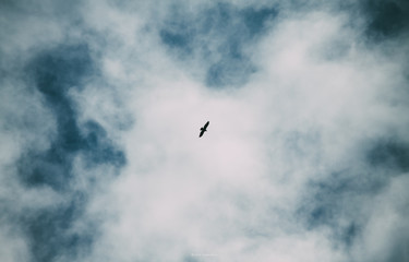 sky
