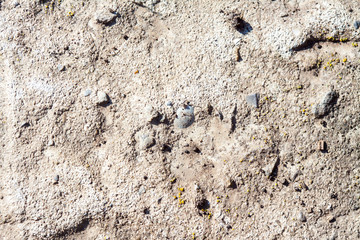 concrete stone closeup