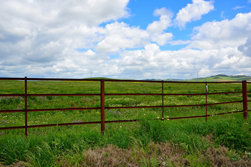 Fototapeta na wymiar fenced field