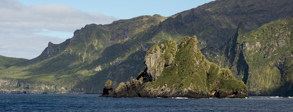 Ile Gough, Archipel Tristan da Cunha, Atlantique Sud, quaranti&egrave;mes rugissants, patrimoine mondial UNESCO, territoires britanniques d'outre mer de Sainte H&eacute;l&egrave;ne