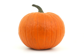 orange pumpkin on white background for halloween or thanksgiving
 - obrazy, fototapety, plakaty