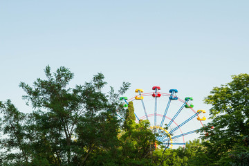 Ferris wheel ride in the summer in the city
