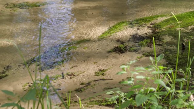 Kristall klarer Bach fliesst idyllisches durch eine gr&uuml;ne Ufer Landschaft mit sandigen Flussbett