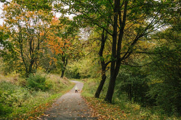 Little girl in the autumn park. run  pathway