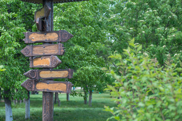 Wooden signpost with arrows