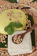 Tofu for cooking and soybean seed.