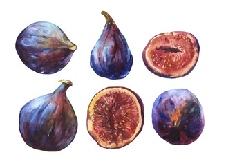 Set whole fresh figs and figs sliced in half, showing the red pulp and seeds inside. Watercolor hand painting illustration on isolate white background.