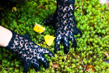 Hands in black gloves
