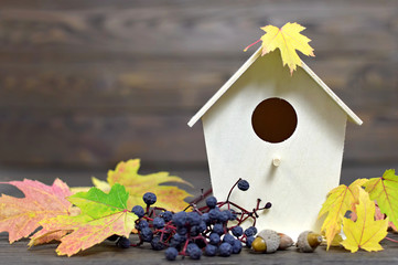 Autumn background: Birdhouse and autumn leaves