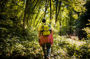 A lone traveler in the woods