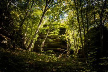 Naklejka premium Magical forest huge stones