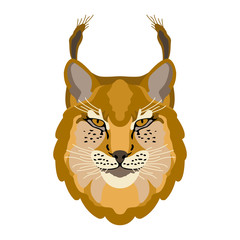 Lynx head face vector illustration style Flat
