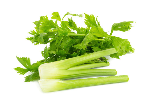Celery isolated on white background.