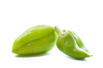 ripe green pepper