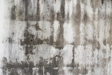 Old grungy white wall.