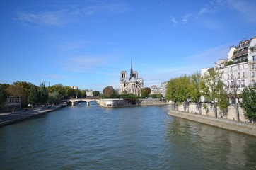 Notre Dame de Paris from afar
