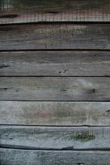 текстура дерева