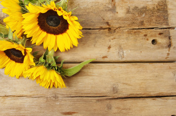 Sunflowers on wood