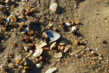 Strandgut