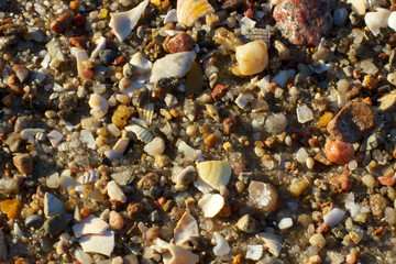 Strandgut © stefanbi1974