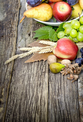  Autumn organic fruit on rustic wooden table