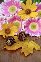 Herbstgrüße - Herbstdekoration