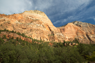 Zion National Park, USA.