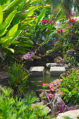 Summer tropical landscape with garden in bloom