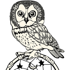 Owl with Dream Catcher