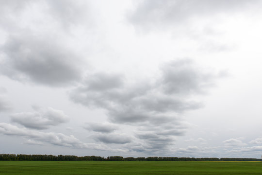 The sky before a rain with gray clouds over a green meadow