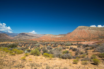 Naklejka premium Landscape in Zion National Park, USA.
