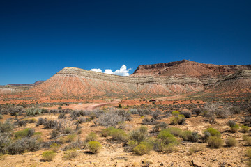 Landscape in Zion National Park, USA.