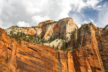 Fototapeta na wymiar Landscape in Zion National Park, USA.