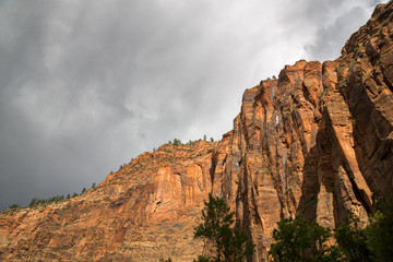 Fototapeta premium Landscape in Zion National Park, USA.