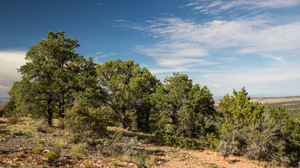Desert landscape in Utah, USA.