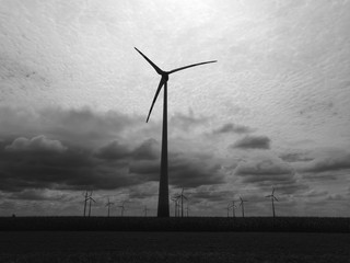 Windmill powerplant silhouette in black and white 