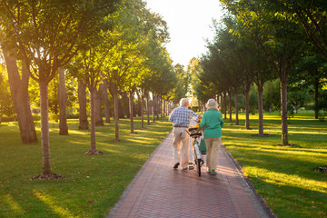 Senior couple walking with bicycle. People in the park. Our road through life. Find place under the...