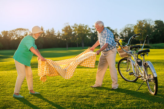 Senior couple on the meadow. Tandem bike with basket. Have a seat here. Picnic in august. - Powered by Adobe