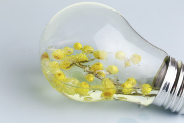 Electric light bulb and flower inside it as symbol of green energy