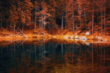 Spiegelung, Reflexion vom herbstlichen Wald mit See