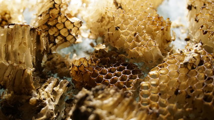 pieces of wax and honey on a light background