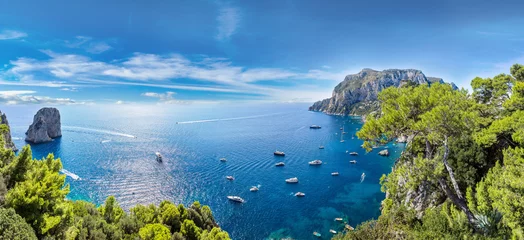Foto op Canvas Capri-eiland in Italië © Sergii Figurnyi