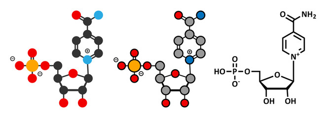 Nicotinamide mononucleotide molecule. Stylized 2D renderings and conventional skeletal formula. Precursor of NAD+.