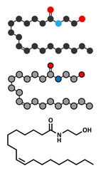 Oleoylethanolamide (OEA) endogenous peroxisome proliferator-activated receptor alpha (PPAR-α) agonist molecule. Stylized 2D renderings and conventional skeletal formula.