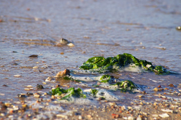 Strandszenen an der Nordseeküste