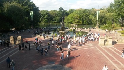 Obraz premium central park