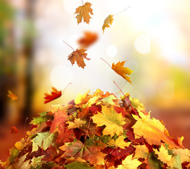Naklejka na ściany i meble Beautiful autumn landscape 