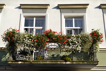 Miejski balkon obsypany kwiatami - obrazy, fototapety, plakaty