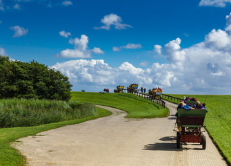 Wattwagenfahrt Festland