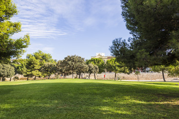 Runners in the Park Turia, Valencia